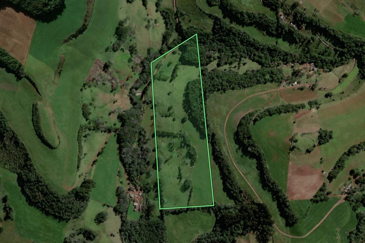 Imagem de satélite do imóvel rural em Coronel Martins (SC), com o contorno declarado no CAR desenhado por cima.
