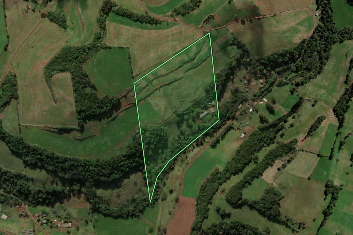 Imagem de satélite do imóvel rural em Coronel Martins (SC), com o contorno declarado no CAR desenhado por cima.
