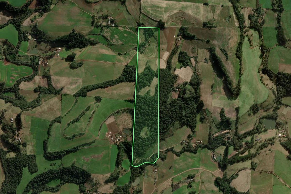 Imagem de satélite do imóvel rural em Coronel Martins (SC), com o contorno declarado no CAR desenhado por cima.