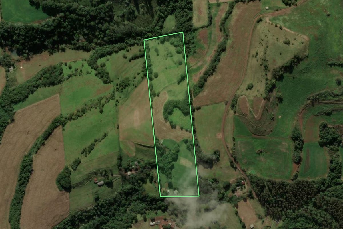 Imagem de satélite do imóvel rural em Coronel Martins (SC), com o contorno declarado no CAR desenhado por cima.