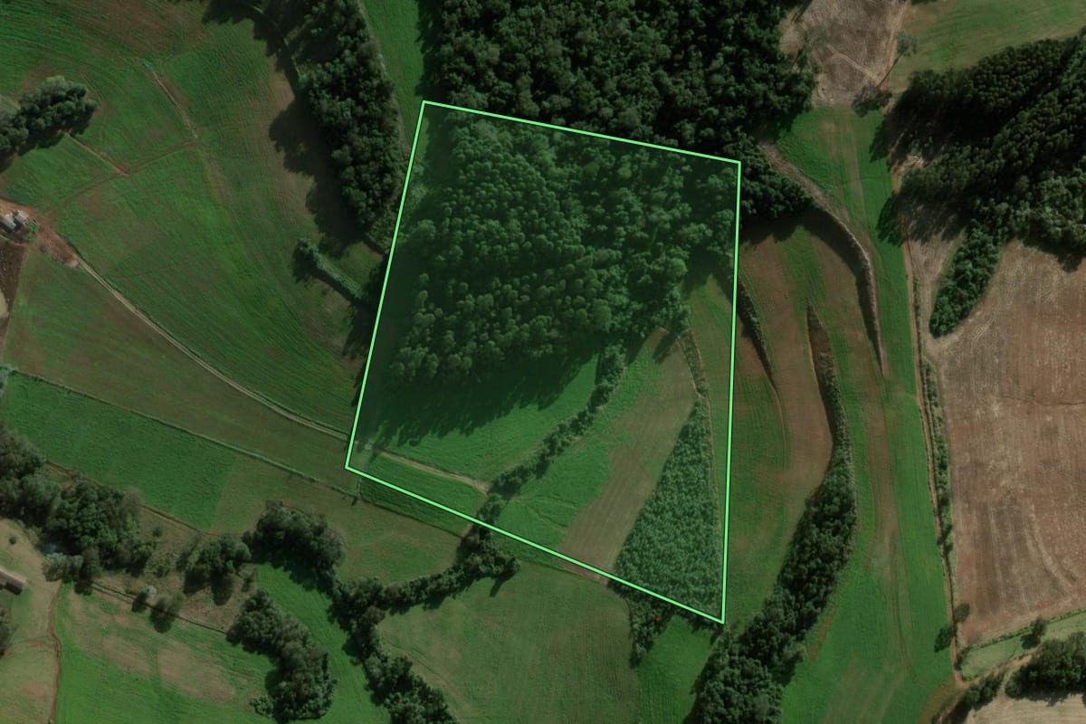 Imagem de satélite do imóvel rural em Coronel Martins (SC), com o contorno declarado no CAR desenhado por cima.