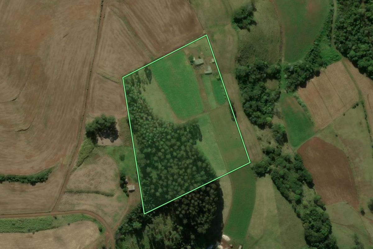 Imagem de satélite do imóvel rural em Coronel Martins (SC), com o contorno declarado no CAR desenhado por cima.