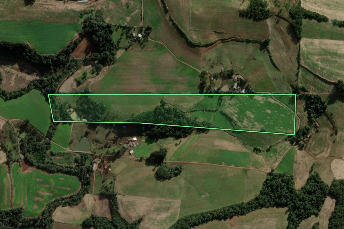 Imagem de satélite do imóvel rural em Coronel Martins (SC), com o contorno declarado no CAR desenhado por cima.