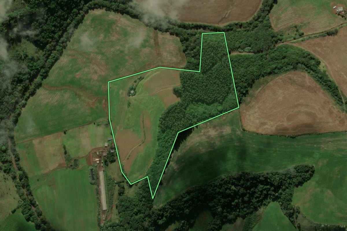 Imagem de satélite do imóvel rural em Coronel Martins (SC), com o contorno declarado no CAR desenhado por cima.