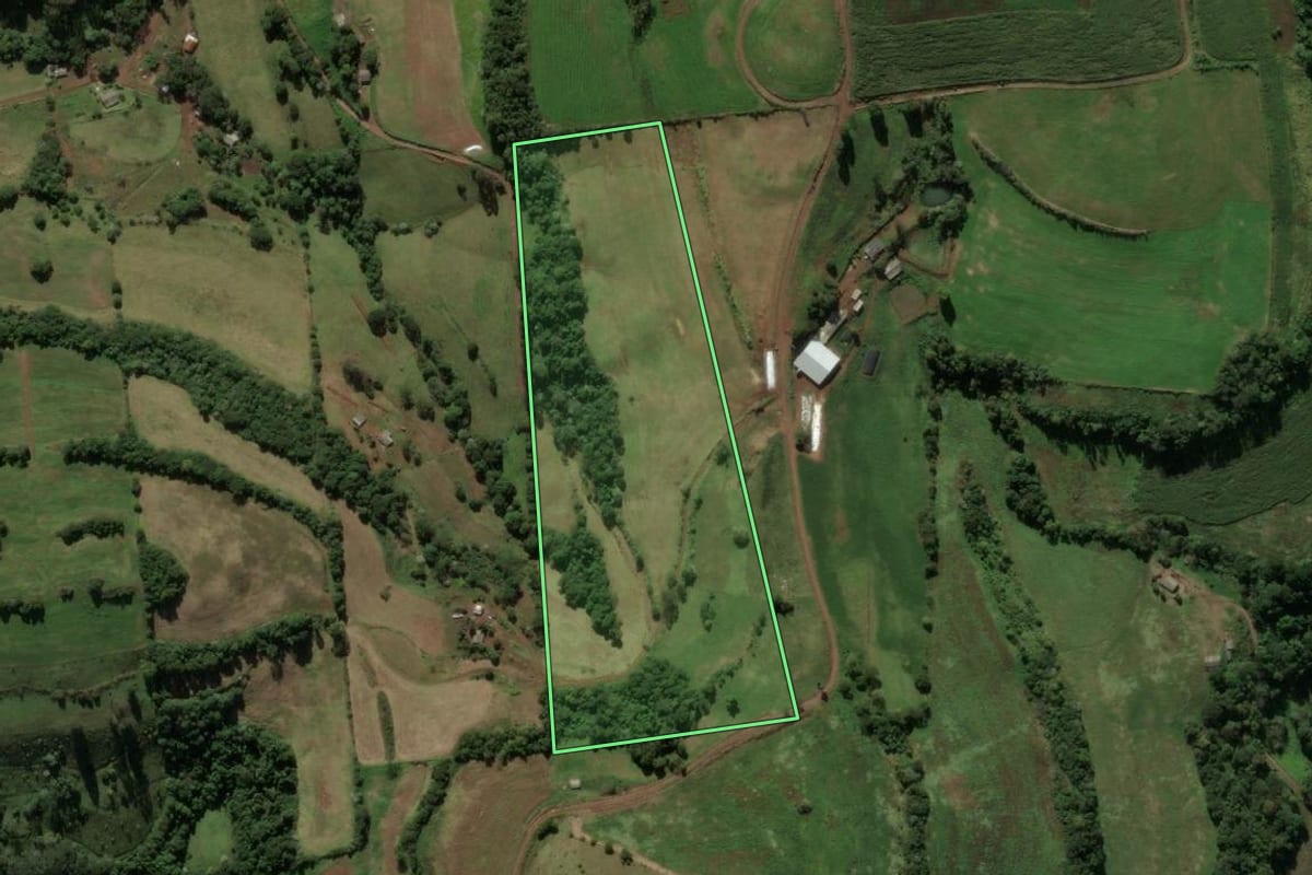 Imagem de satélite do imóvel rural em Coronel Martins (SC), com o contorno declarado no CAR desenhado por cima.