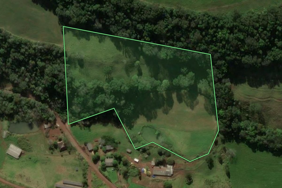 Imagem de satélite do imóvel rural em Coronel Martins (SC), com o contorno declarado no CAR desenhado por cima.