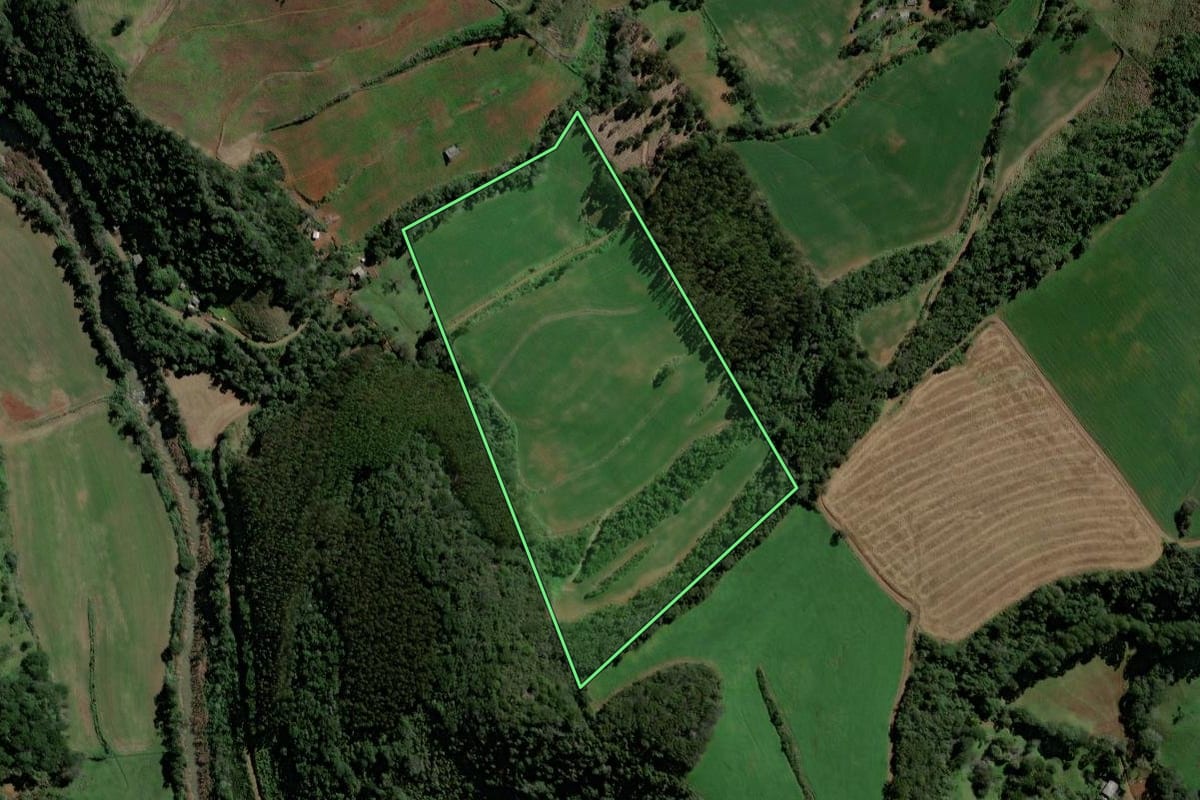 Imagem de satélite do imóvel rural em Coronel Martins (SC), com o contorno declarado no CAR desenhado por cima.