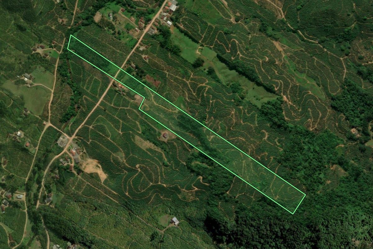 Imagem de satélite do imóvel rural em Corupá (SC), com o contorno declarado no CAR desenhado por cima.
