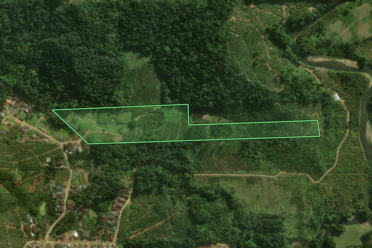 Imagem de satélite do imóvel rural em Corupá (SC), com o contorno declarado no CAR desenhado por cima.