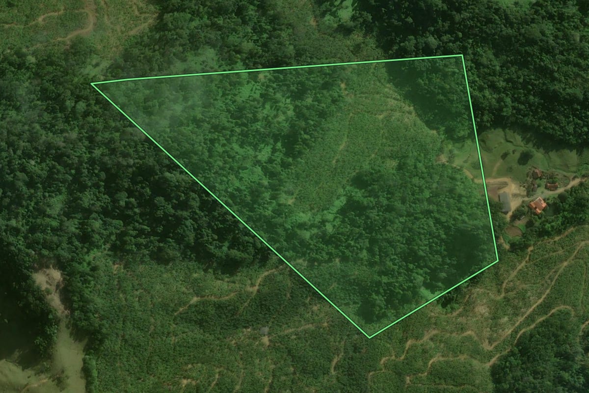 Imagem de satélite do imóvel rural em Corupá (SC), com o contorno declarado no CAR desenhado por cima.