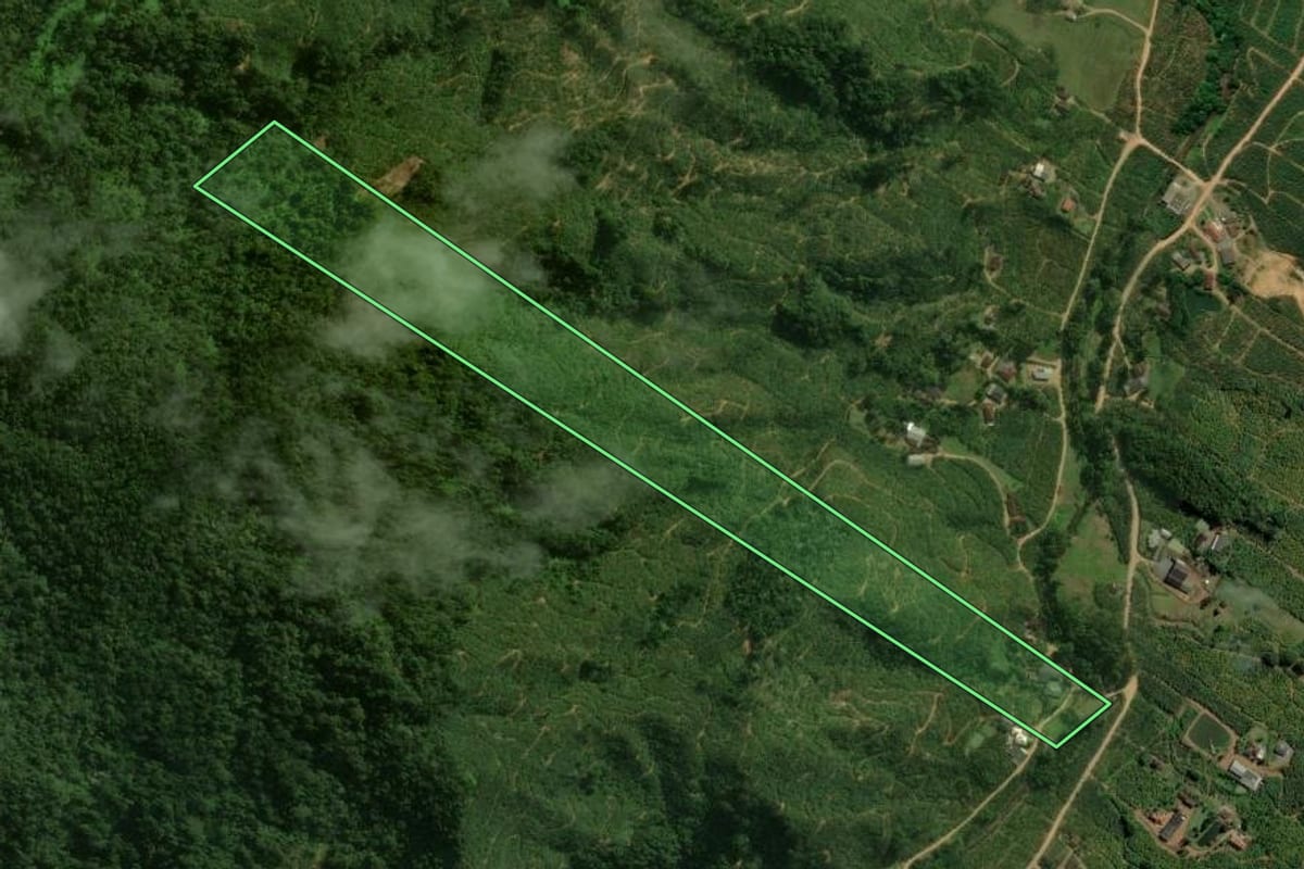 Imagem de satélite do imóvel rural em Corupá (SC), com o contorno declarado no CAR desenhado por cima.