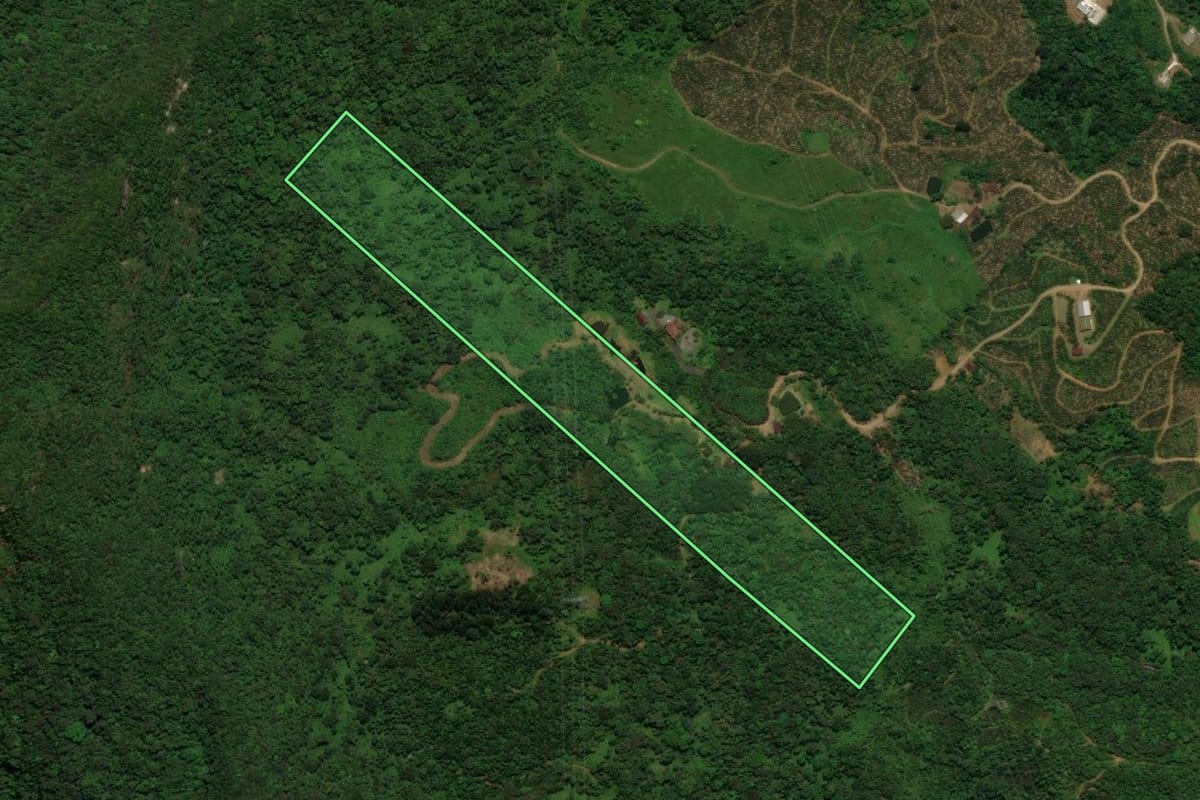 Imagem de satélite do imóvel rural em Corupá (SC), com o contorno declarado no CAR desenhado por cima.