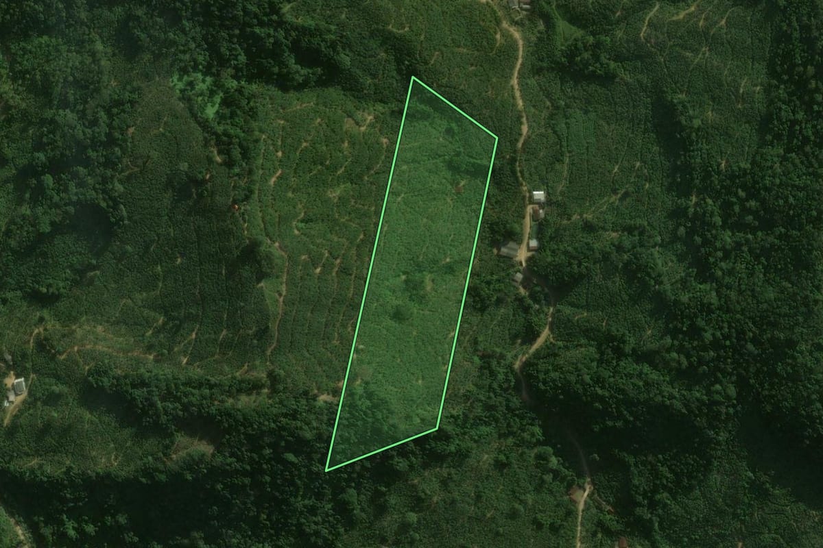 Imagem de satélite do imóvel rural em Corupá (SC), com o contorno declarado no CAR desenhado por cima.