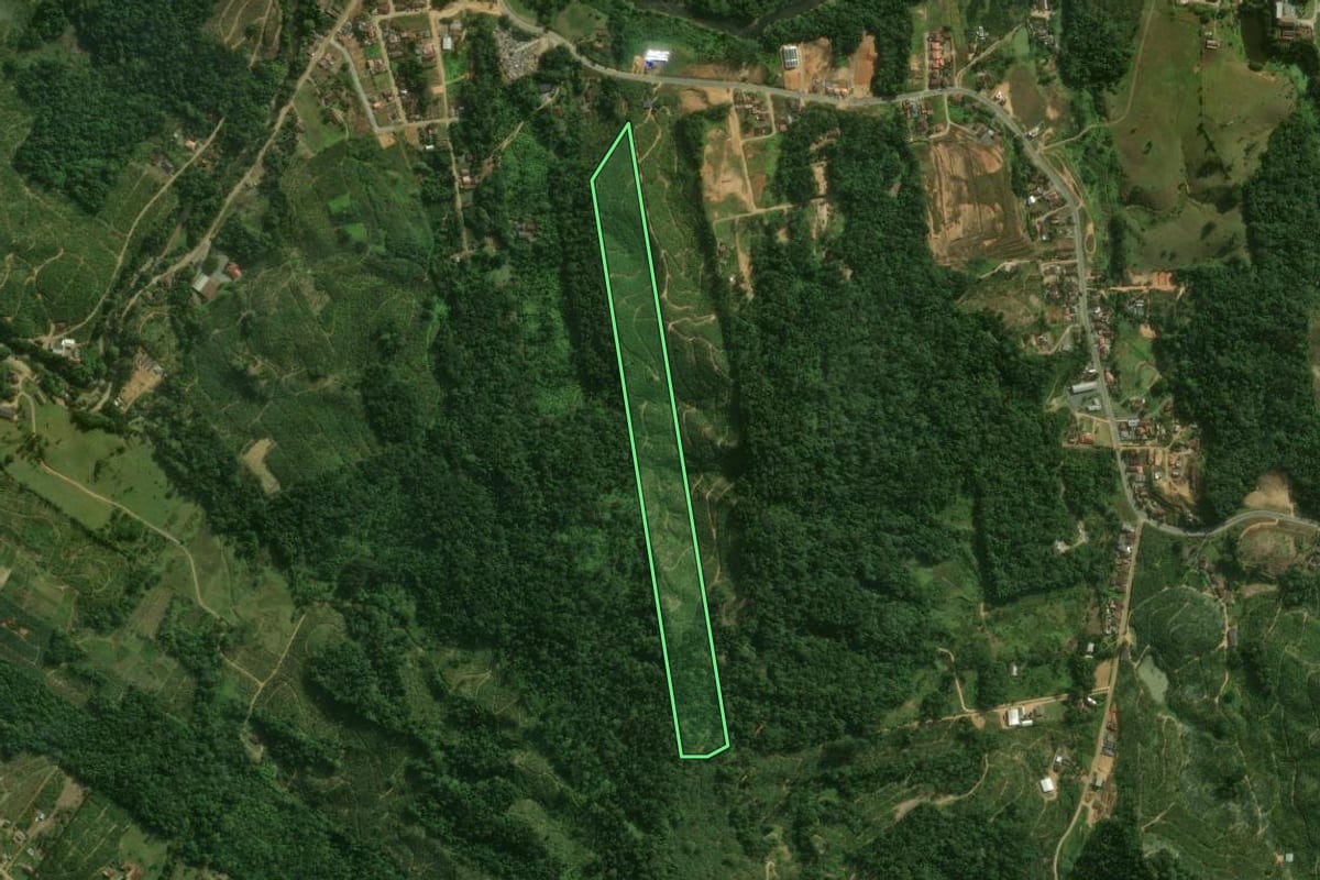 Imagem de satélite do imóvel rural em Corupá (SC), com o contorno declarado no CAR desenhado por cima.