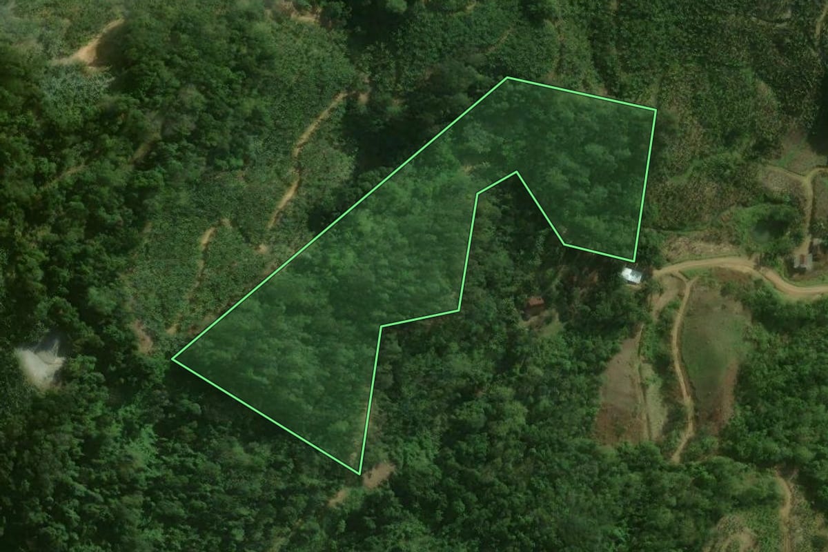 Imagem de satélite do imóvel rural em Corupá (SC), com o contorno declarado no CAR desenhado por cima.
