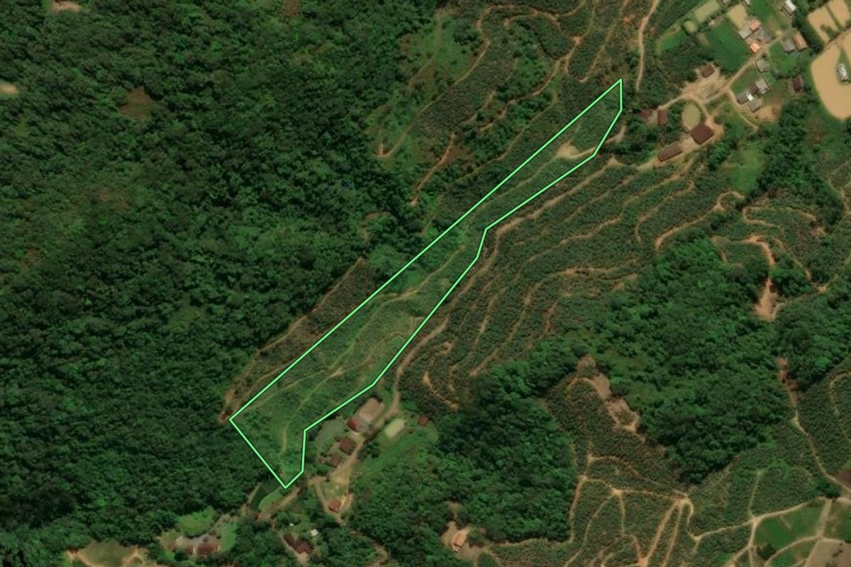 Imagem de satélite do imóvel rural em Corupá (SC), com o contorno declarado no CAR desenhado por cima.