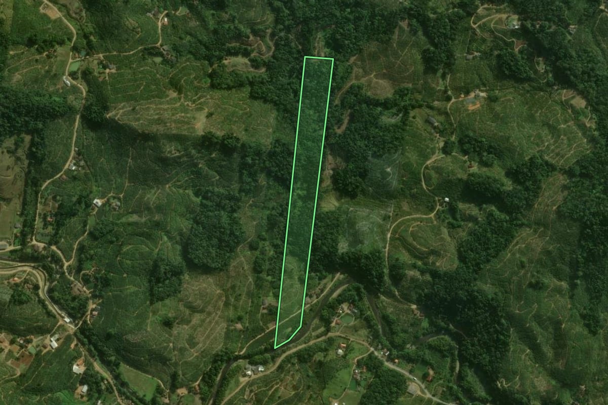 Imagem de satélite do imóvel rural em Corupá (SC), com o contorno declarado no CAR desenhado por cima.