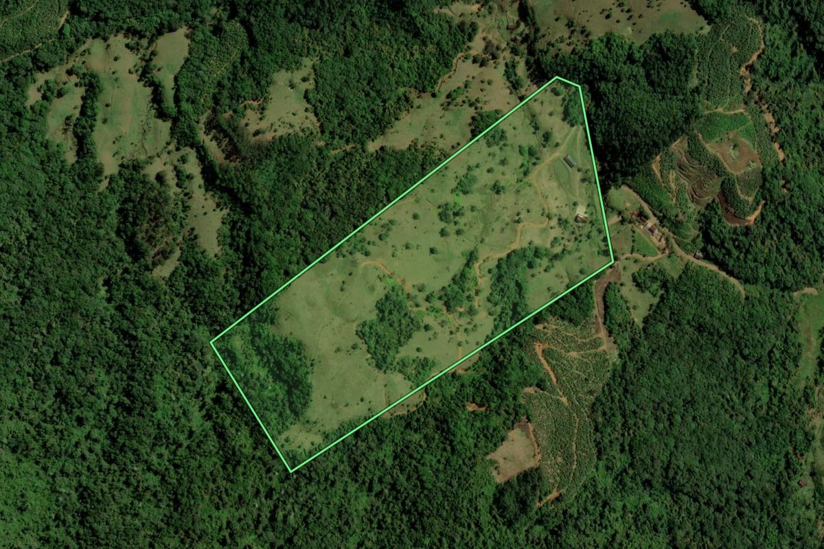Imagem de satélite do imóvel rural em Corupá (SC), com o contorno declarado no CAR desenhado por cima.