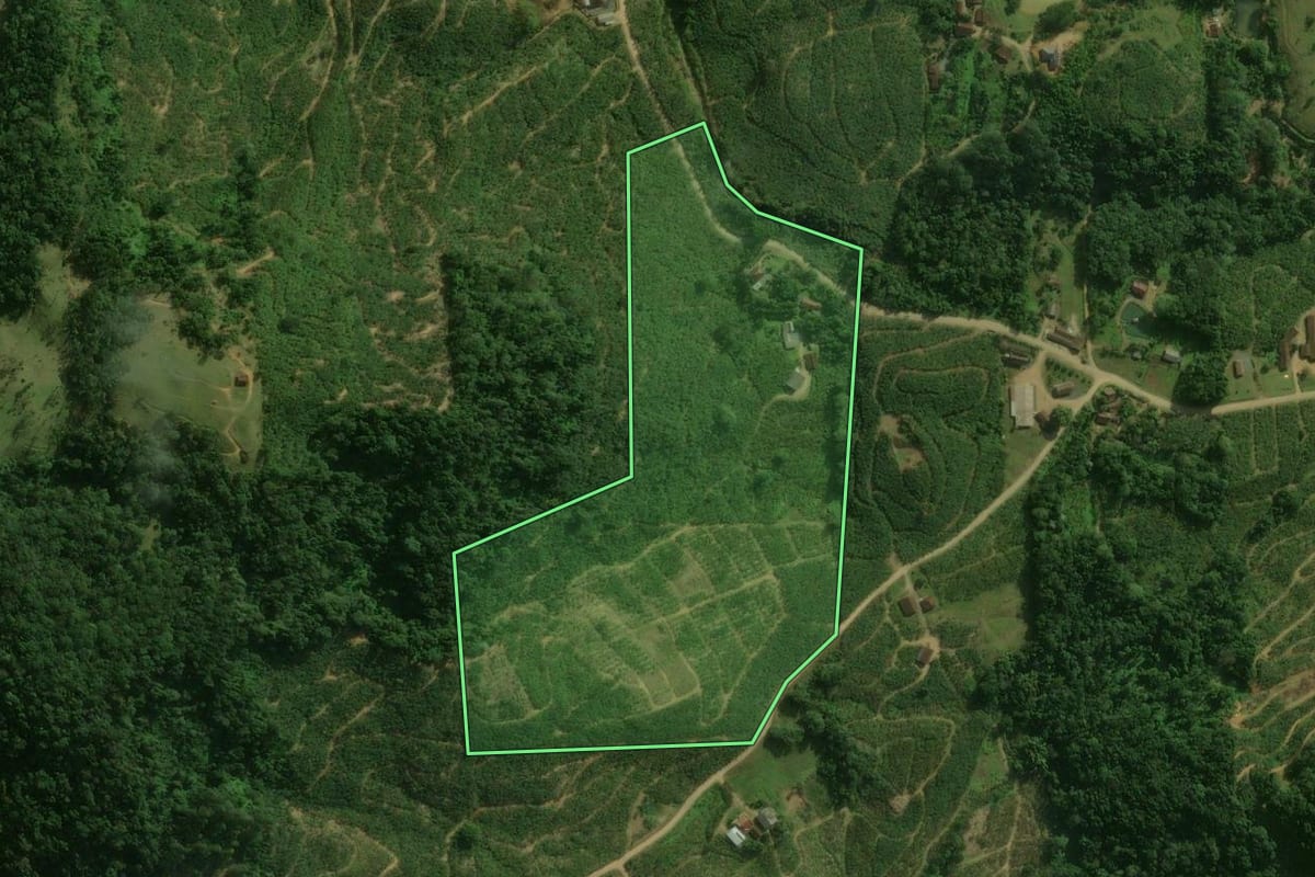 Imagem de satélite do imóvel rural em Corupá (SC), com o contorno declarado no CAR desenhado por cima.