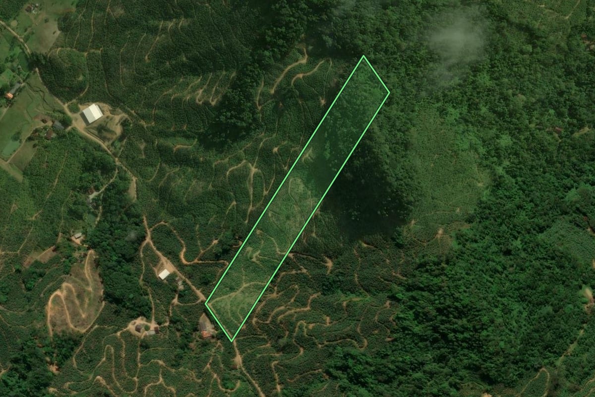 Imagem de satélite do imóvel rural em Corupá (SC), com o contorno declarado no CAR desenhado por cima.