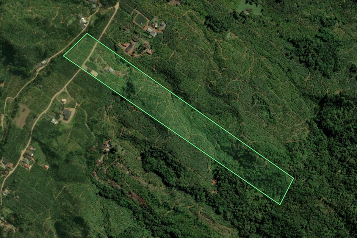 Imagem de satélite do imóvel rural em Corupá (SC), com o contorno declarado no CAR desenhado por cima.