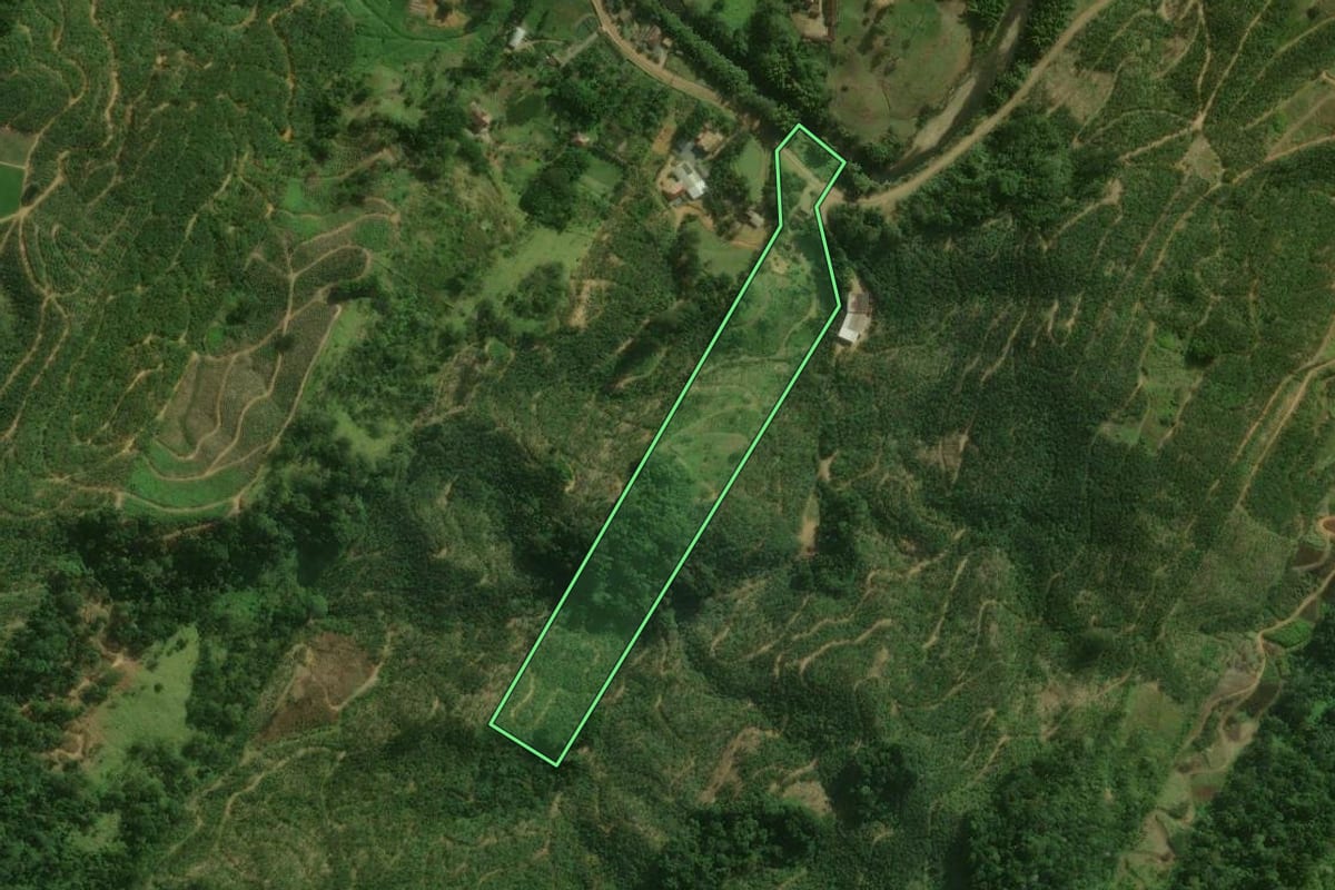 Imagem de satélite do imóvel rural em Corupá (SC), com o contorno declarado no CAR desenhado por cima.