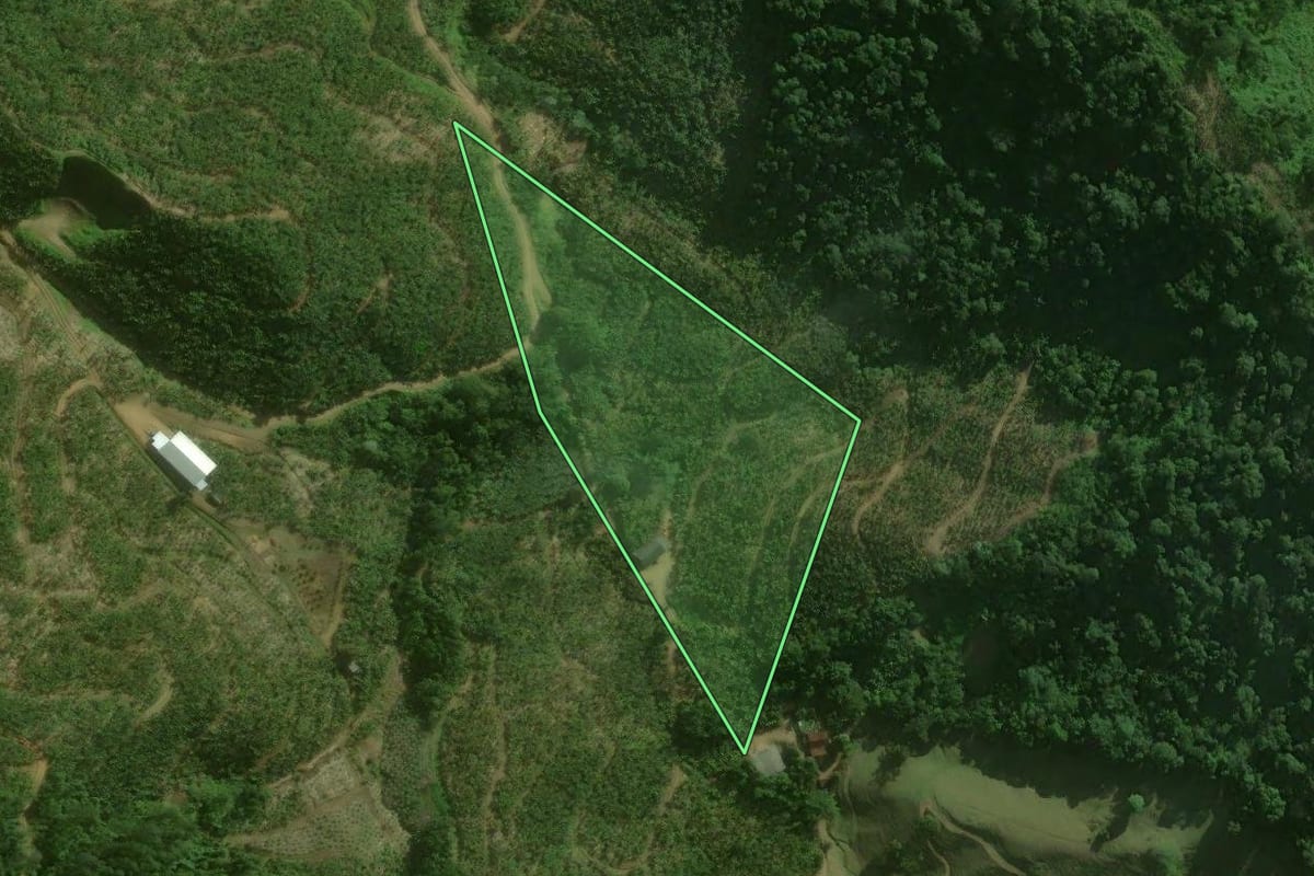 Imagem de satélite do imóvel rural em Corupá (SC), com o contorno declarado no CAR desenhado por cima.