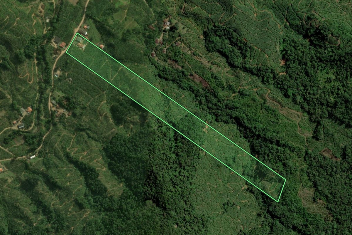 Imagem de satélite do imóvel rural em Corupá (SC), com o contorno declarado no CAR desenhado por cima.