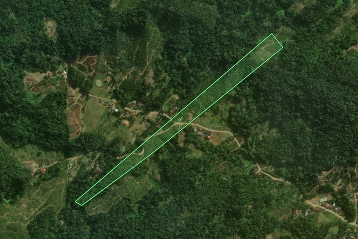 Imagem de satélite do imóvel rural em Corupá (SC), com o contorno declarado no CAR desenhado por cima.
