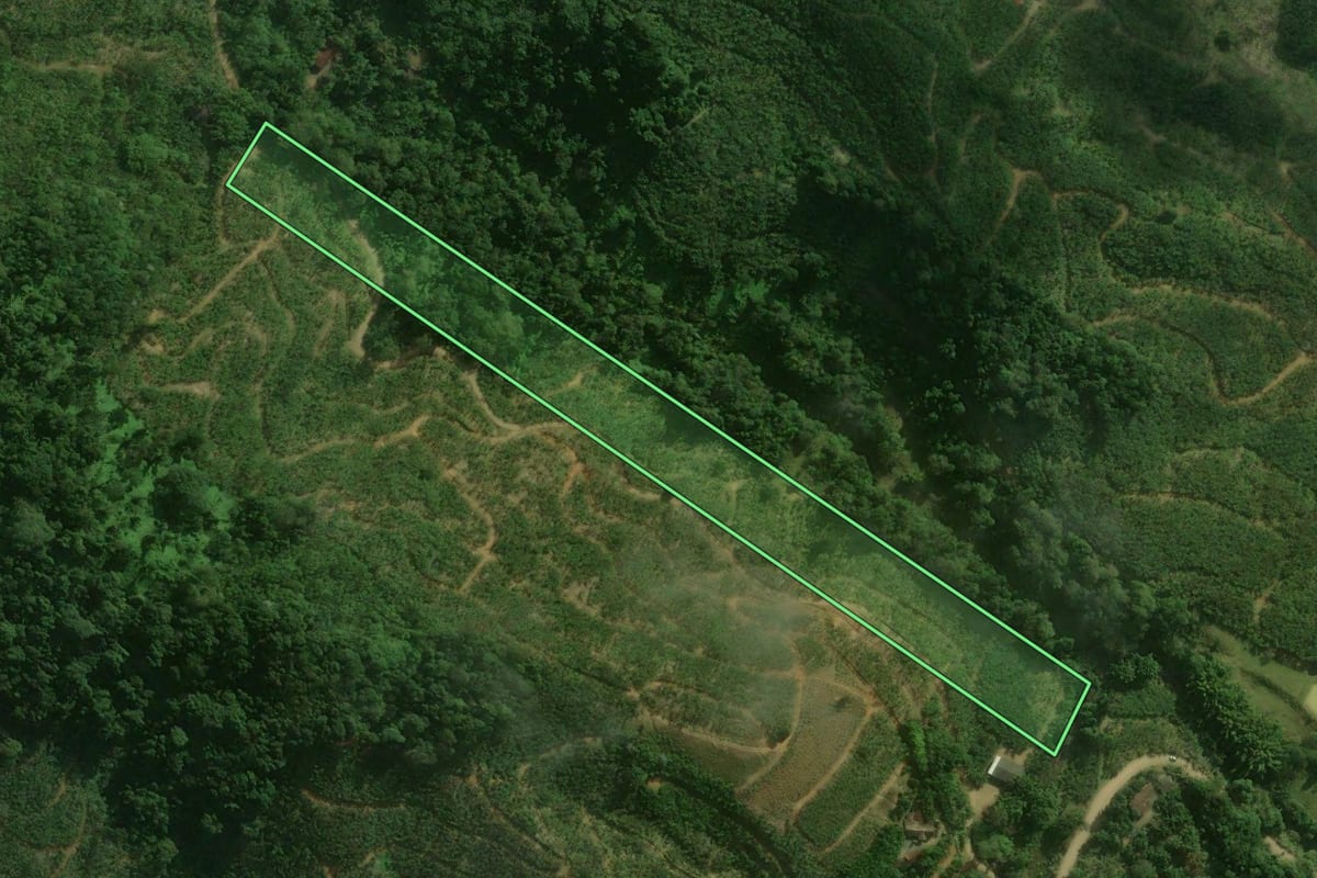 Imagem de satélite do imóvel rural em Corupá (SC), com o contorno declarado no CAR desenhado por cima.