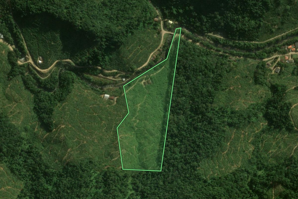 Imagem de satélite do imóvel rural em Corupá (SC), com o contorno declarado no CAR desenhado por cima.