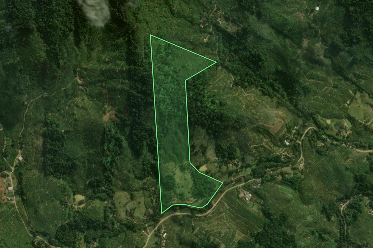 Imagem de satélite do imóvel rural em Corupá (SC), com o contorno declarado no CAR desenhado por cima.