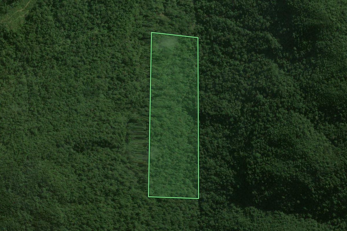 Imagem de satélite do imóvel rural em Corupá (SC), com o contorno declarado no CAR desenhado por cima.