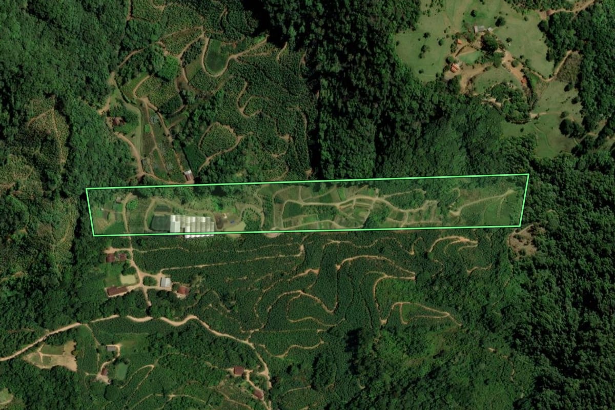 Imagem de satélite do imóvel rural em Corupá (SC), com o contorno declarado no CAR desenhado por cima.