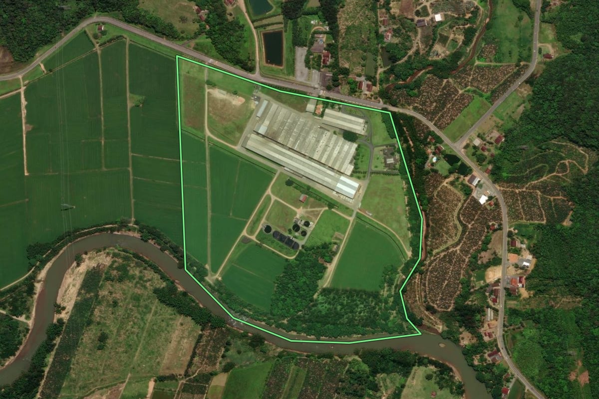Imagem de satélite do imóvel rural em Corupá (SC), com o contorno declarado no CAR desenhado por cima.