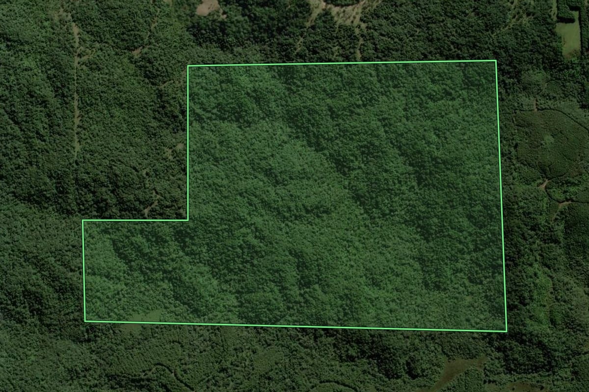 Imagem de satélite do imóvel rural em Corupá (SC), com o contorno declarado no CAR desenhado por cima.