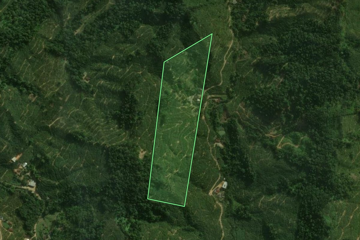 Imagem de satélite do imóvel rural em Corupá (SC), com o contorno declarado no CAR desenhado por cima.