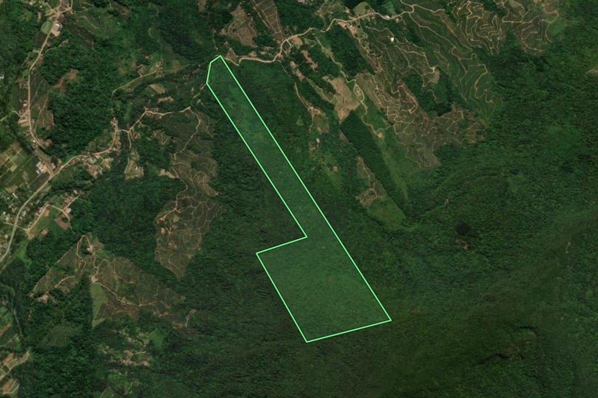 Imagem de satélite do imóvel rural em Corupá (SC), com o contorno declarado no CAR desenhado por cima.