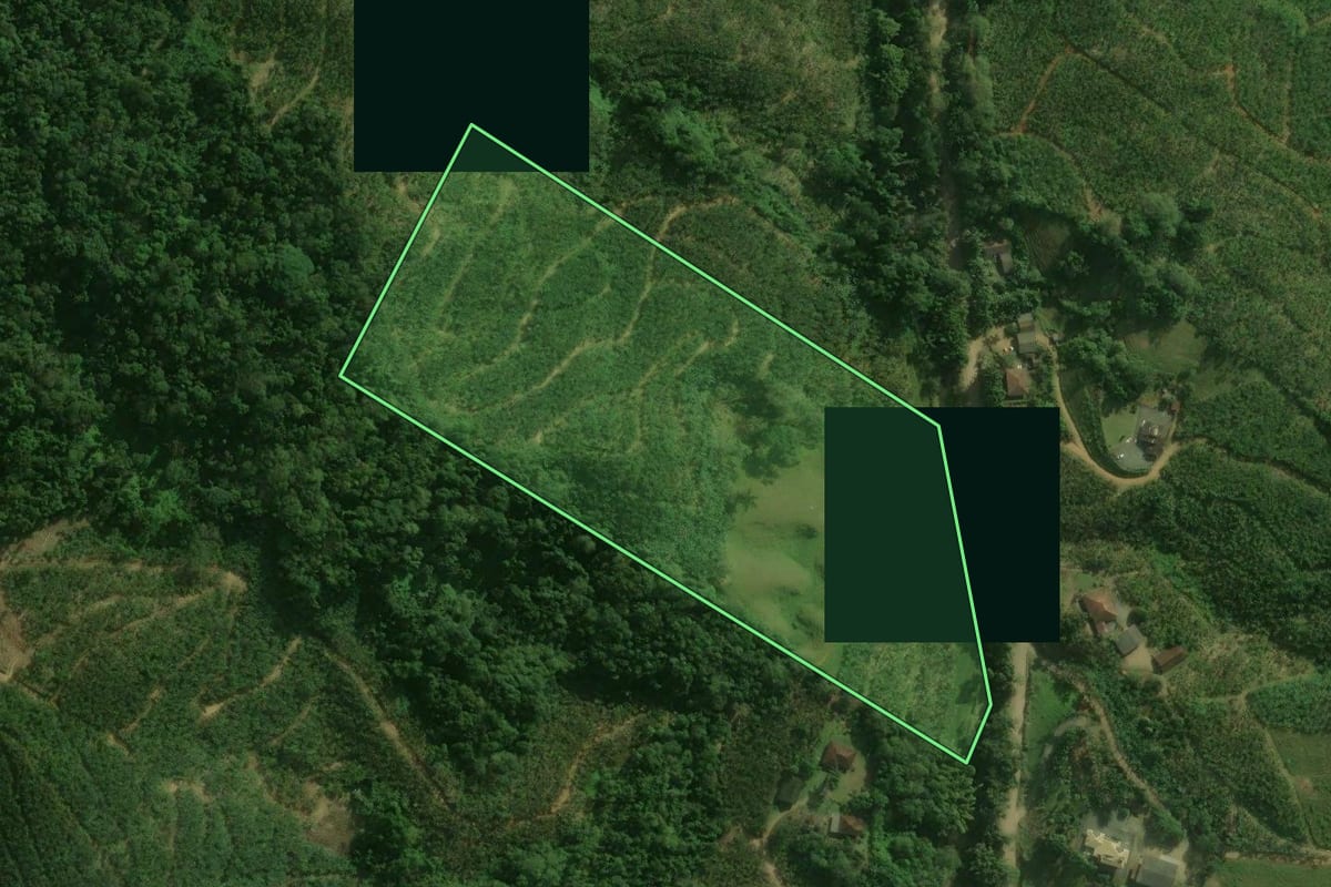 Imagem de satélite do imóvel rural em Corupá (SC), com o contorno declarado no CAR desenhado por cima.