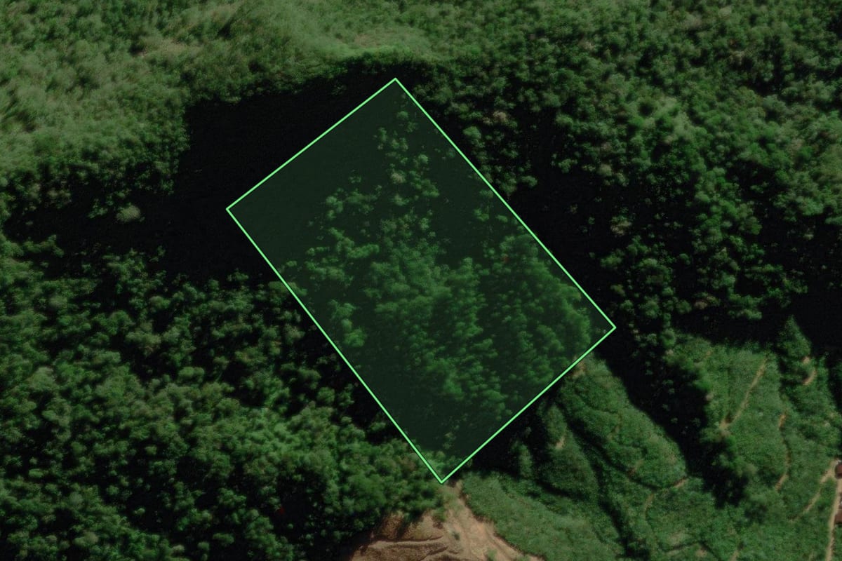 Imagem de satélite do imóvel rural em Corupá (SC), com o contorno declarado no CAR desenhado por cima.