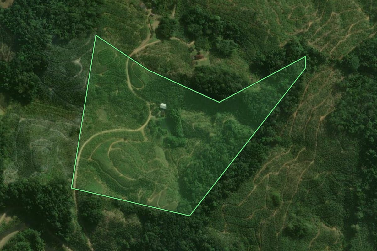 Imagem de satélite do imóvel rural em Corupá (SC), com o contorno declarado no CAR desenhado por cima.