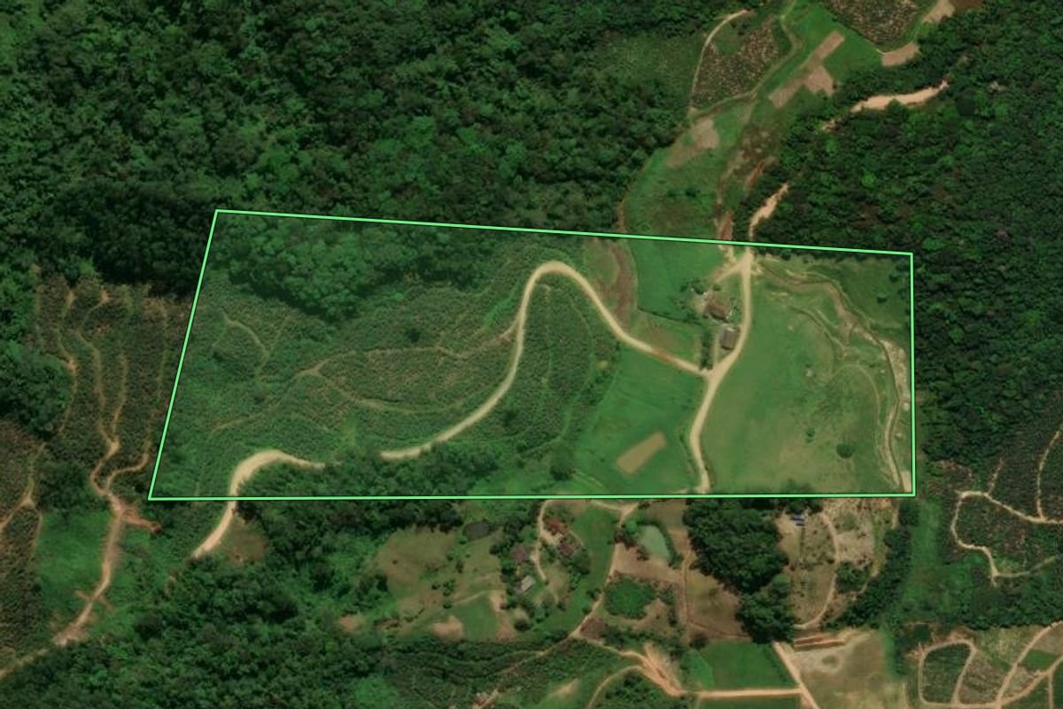 Imagem de satélite do imóvel rural em Corupá (SC), com o contorno declarado no CAR desenhado por cima.