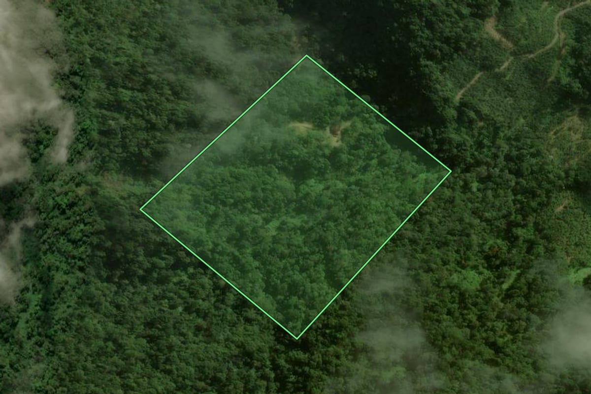 Imagem de satélite do imóvel rural em Corupá (SC), com o contorno declarado no CAR desenhado por cima.