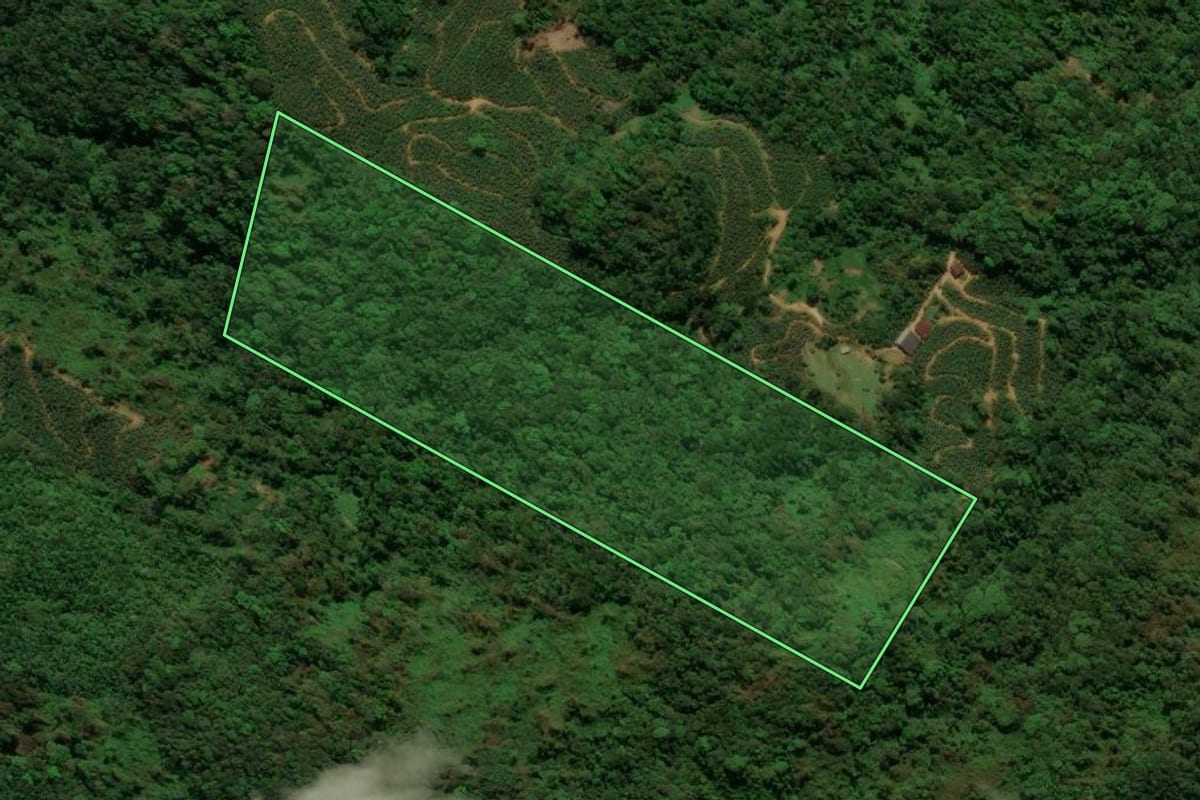 Imagem de satélite do imóvel rural em Corupá (SC), com o contorno declarado no CAR desenhado por cima.