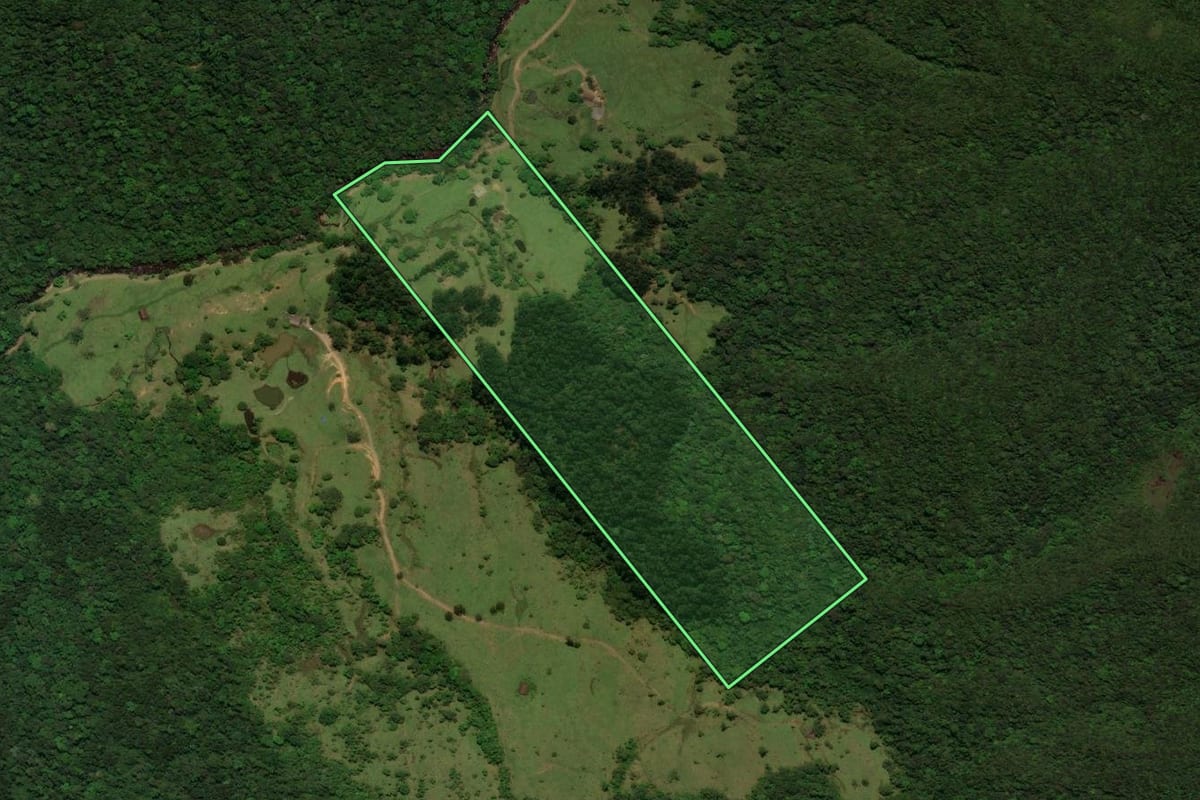 Imagem de satélite do imóvel rural em Corupá (SC), com o contorno declarado no CAR desenhado por cima.