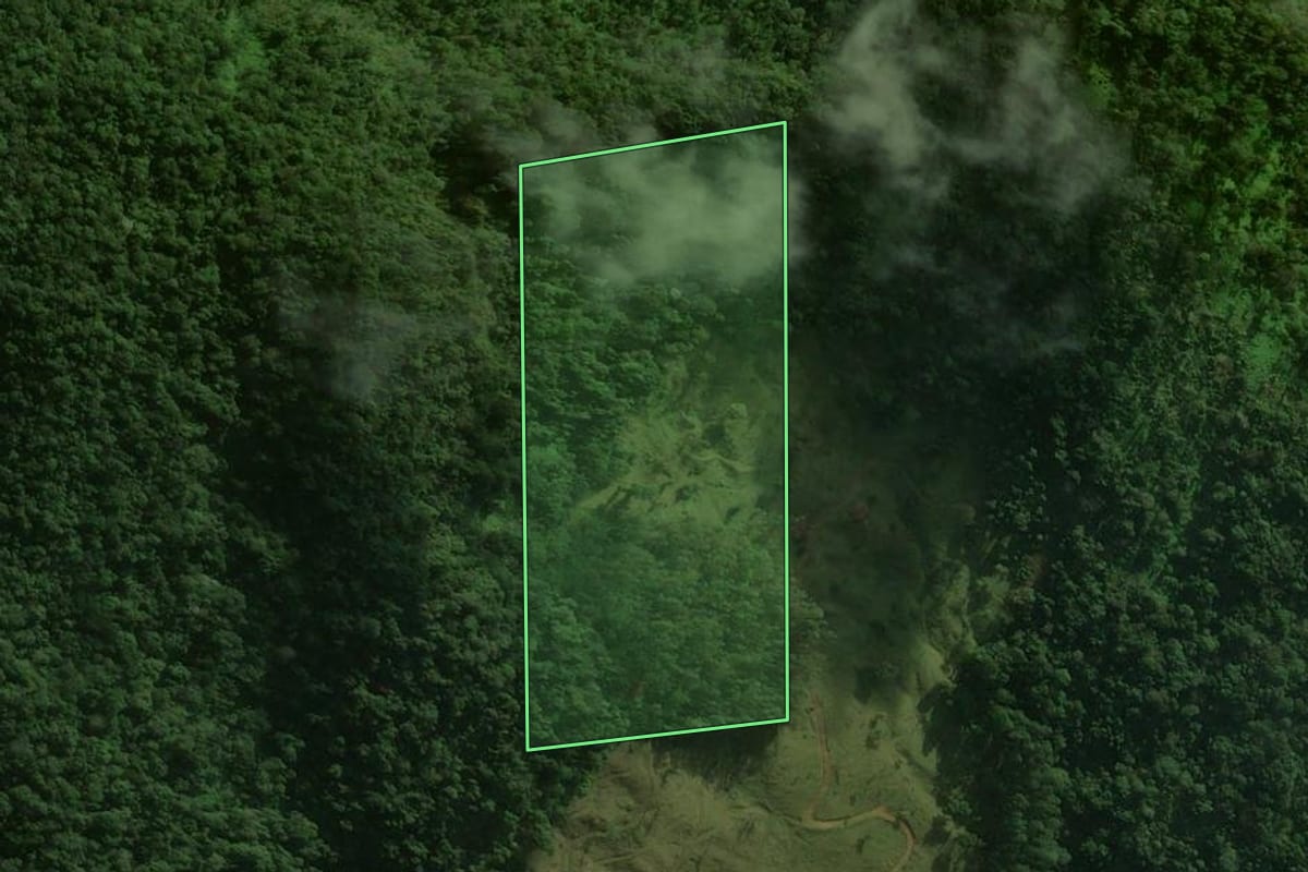 Imagem de satélite do imóvel rural em Corupá (SC), com o contorno declarado no CAR desenhado por cima.
