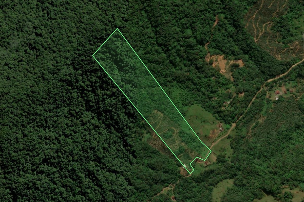 Imagem de satélite do imóvel rural em Corupá (SC), com o contorno declarado no CAR desenhado por cima.