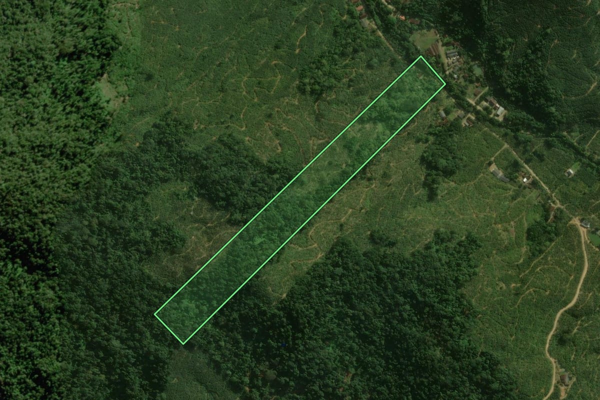 Imagem de satélite do imóvel rural em Corupá (SC), com o contorno declarado no CAR desenhado por cima.