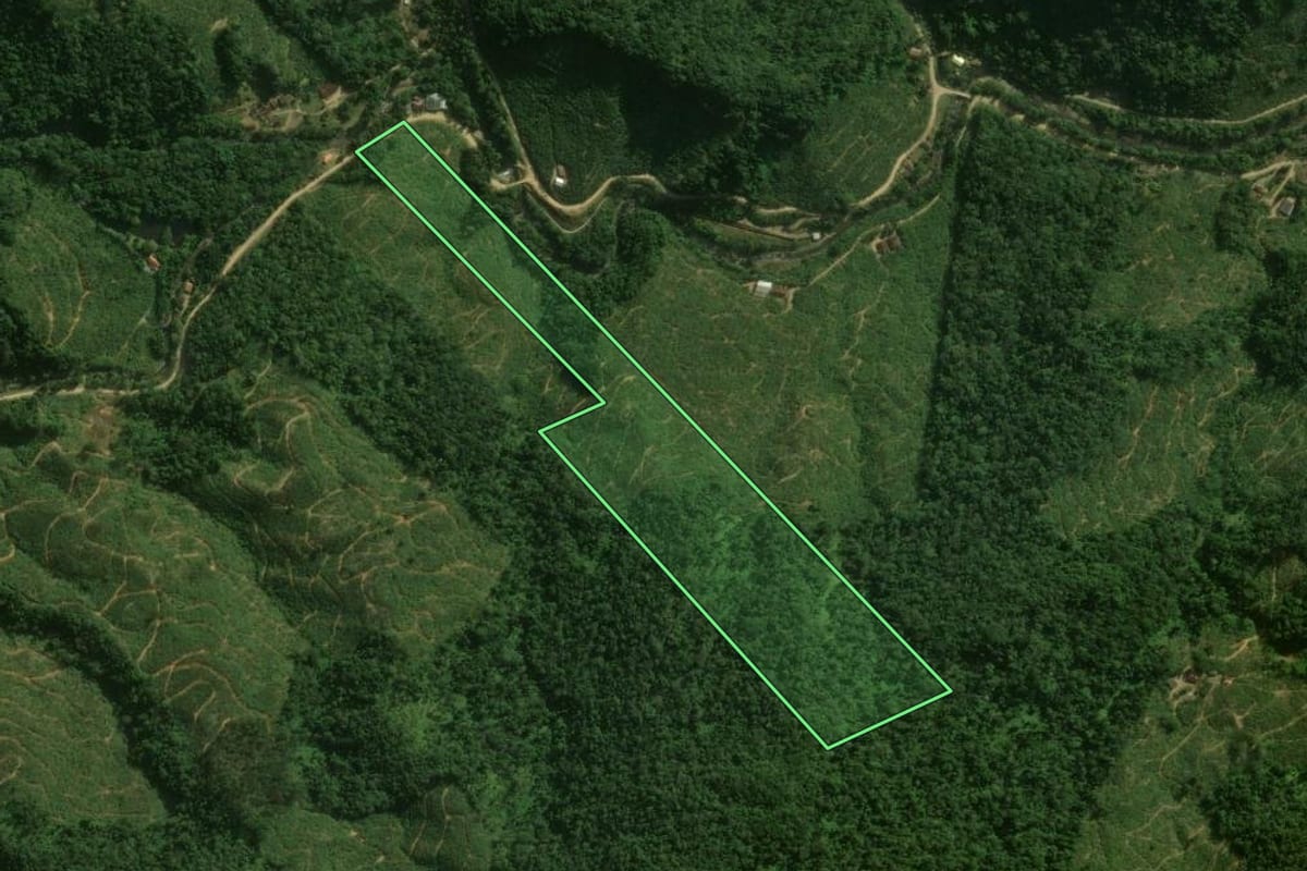 Imagem de satélite do imóvel rural em Corupá (SC), com o contorno declarado no CAR desenhado por cima.