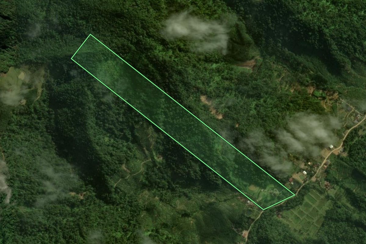 Imagem de satélite do imóvel rural em Corupá (SC), com o contorno declarado no CAR desenhado por cima.